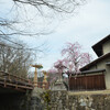 近江八幡堀　春の風景その２