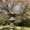 三上山へ⛰️