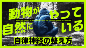 動物の知恵に学ぶ自律神経の整え方