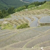 熊野古道４日目