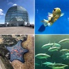 葛西臨海水族園