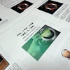 【ヒューマンデザイン】「PHS Year 1 Semester 2：Determination & Healing」を訳しました