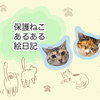 保護ねこ初心者絵日記、はじめました🐈