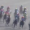 1.9  中山競馬　注目馬