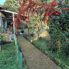 完成した芝生張りと真っ赤な実が見事なピラカンサ