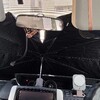 5月になったね。