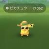 ポケモンの名前の由来を考察してみた(カントー編)