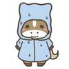 【追い切り注目馬】【クイーンC】他　2025/2/15(土) 東京競馬　価値ある2週前