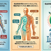 人体構造上の問題解決が先か、気血津液の解決が先か。・・・その両者のうち気血津液のダメージが顕著なら、気血津液からがよい結果を生むときもあるといえるでそう。