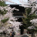 京都散歩道