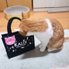 慣れぬ行事にトラブルは付き物