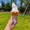 新潟市西蒲区　そら野テラス 　農園のソフトクリーム・いちご