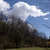 里山の空