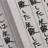 キャノンボール失敗しました！ 〜スペック紹介と経過〜