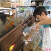 うたちゃん日記♪2024/7/26♪小3夏休み１４日目今日はエビを大量購入