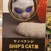 シップスキャットにゃ～ん