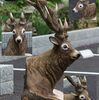 奈良でのカービング②　鹿
