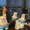 めちゃコミックのインフォコムがTOBされる。株主優待と配当金が貰えなさそうので売却しました。