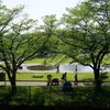 【写真日記】夏日の昭島界隈お散歩で分かった驚きの事実
