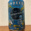 アメリカ INDEED SHENANIGANS HONEY WHEAT ALE