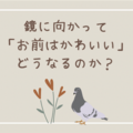 【検証実験】鏡に向かって「お前はかわいい」と唱え続けるとどうなるのか？（お前は誰だ？の発展形）