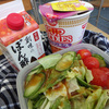 生野菜大量弁当