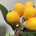 ＫＩＴの気ままな旅日記