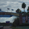  マグロになってインチキなホンモノについて考える:  Disney World Resort, Celebration, and Ripley's Believe It or Not!