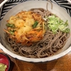 お昼ご飯は名古屋で「冷やしかき揚げ蕎麦」