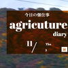 11月3日(木)　今日も伐採と片付け