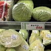 キャベツ高っ！何もかも高い🥲