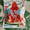ダイソーのかわいいミニチュアすいか