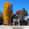 川越八幡宮（埼玉県川越市）　～小江戸川越をめぐる旅 1/12～