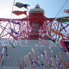 #東京タワー#こいのぼり#さんまのぼり