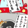 ネコと車