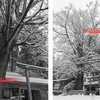 雪の花脊・春日神社