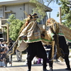 雨乞いの呪術、全国の芸能とのつながり。愛知県東浦町「藤江のだんつく獅子舞」
