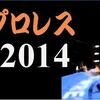 「ネット・プロレス大賞2014」に投票します。～『さぶこんシャス』の場合～ #npwa2014