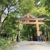 雨が来る前に　緑降る日吉大社へ
