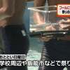 プールに金魚を放流したために・・・