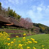 田園風景