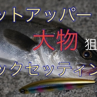 釣れるルアー ダイワ セットアッパーの使い方 インプレ 釣れる理由など じーあーるえす184 釣れるルアー ダイワ セットアッパーの使い方 インプレ 釣れる理由など じーあーるえす184
