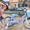 4歳9ヶ月、やっとこ自転車を手に入れる