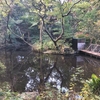 野毛山動物園の大池（神奈川県横浜）