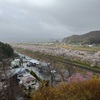 船岡城址公園の桜まつり「花園や～」