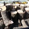 クヌギを割って積む