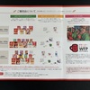 カンロ（2216）から株主優待品（飴、グミのセット）が届きました！