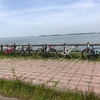 霞ヶ浦サイクリングロードへ行ってきました。