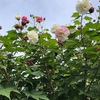 ステージが変わった