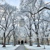 北海道大学に行ってきた（ついでに）